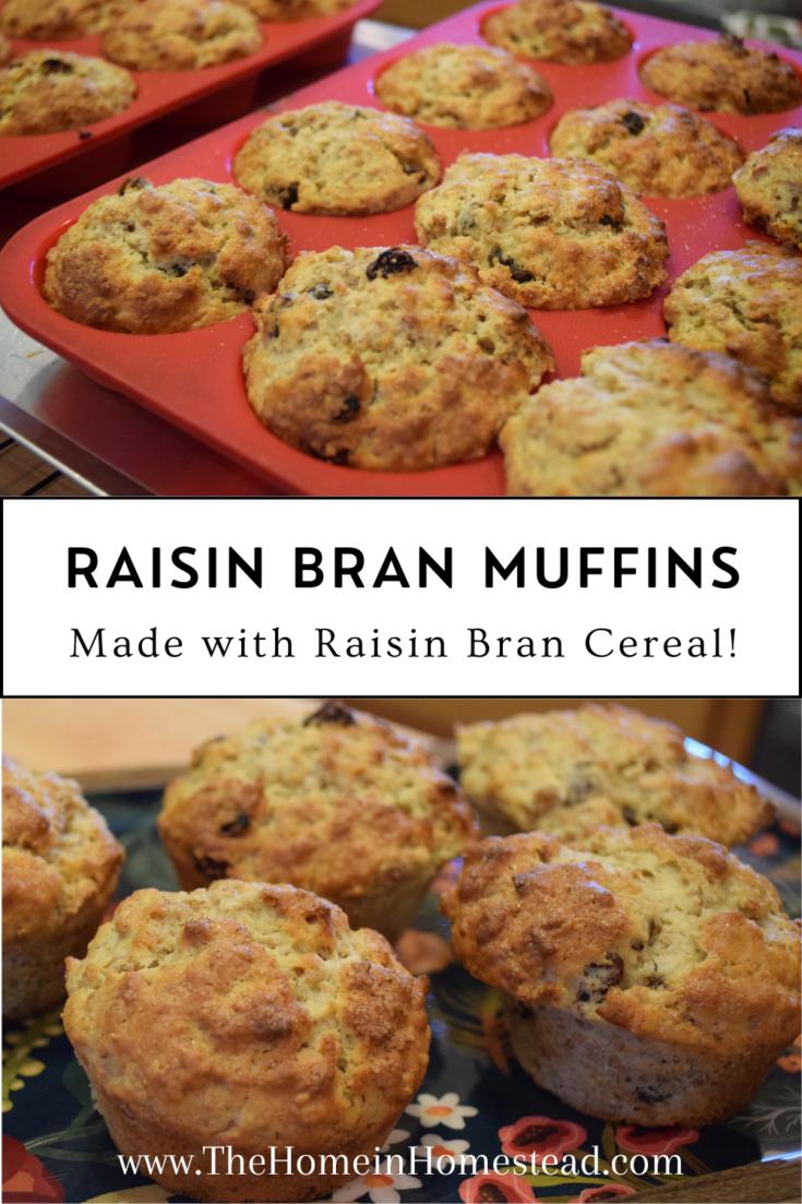 Raisin Bran Cereal Muffins Recipe