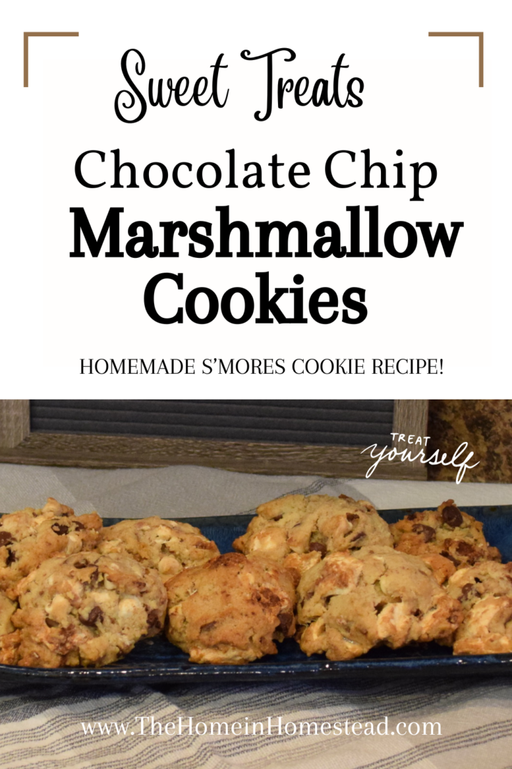 Chocolate Chip Marshmallow Cookie Recipe